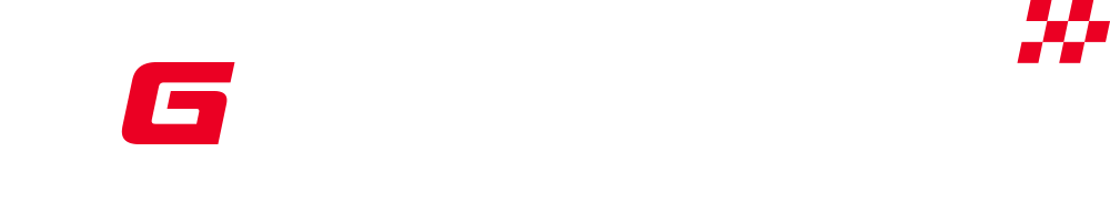 DG Motors logo
